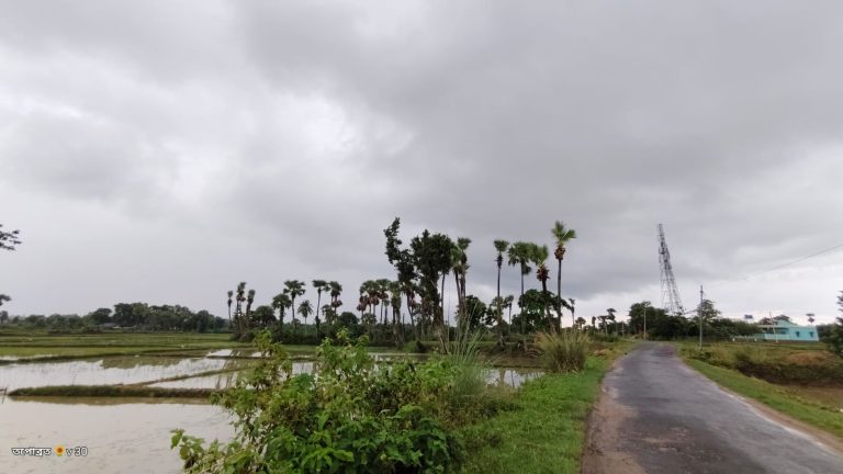 যেখানে বিশ্ব এসে মিশেছে, গাছ পাতা ফুলের কাছে