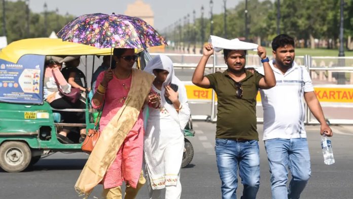 North Bengal Election 2026