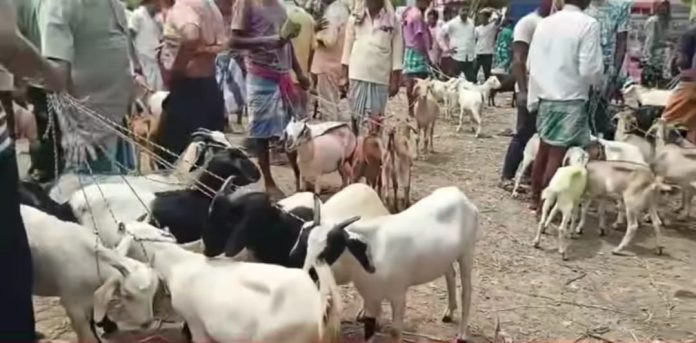Eid Al Adha